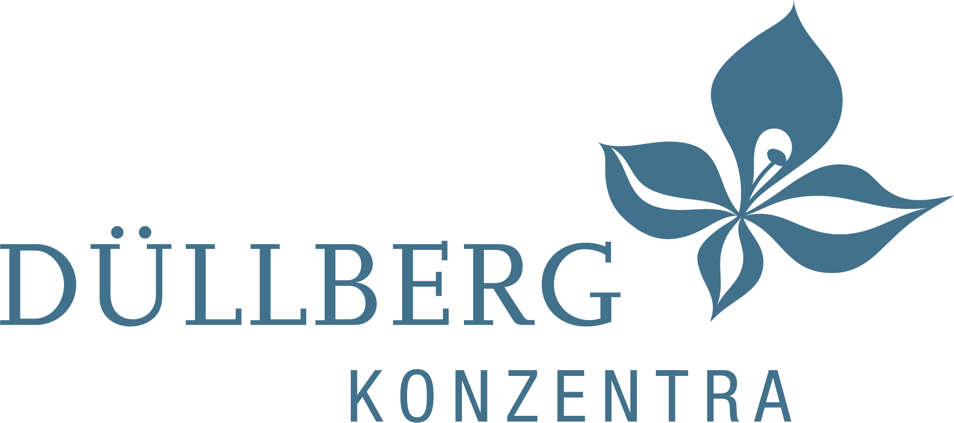 Logo Dllberg